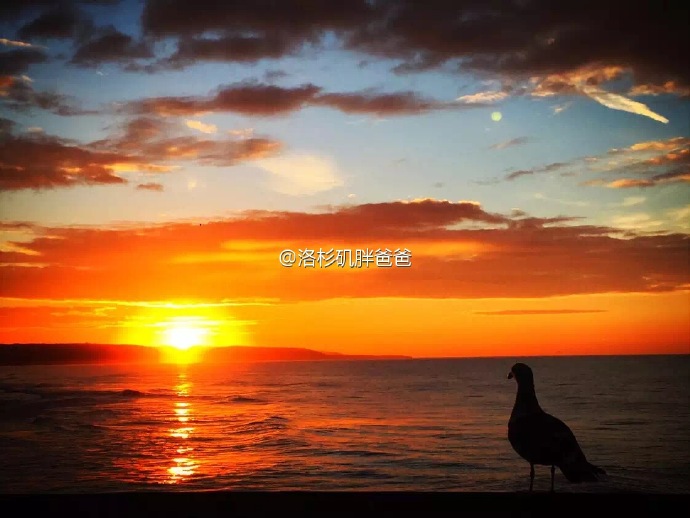 1（1 - 你对赴美生子的第一选择洛杉矶有多少了解呢？