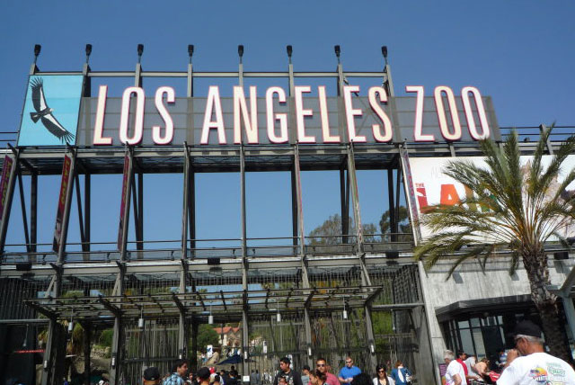 7（2） - 北京客人赴美生子带大宝游玩动物园