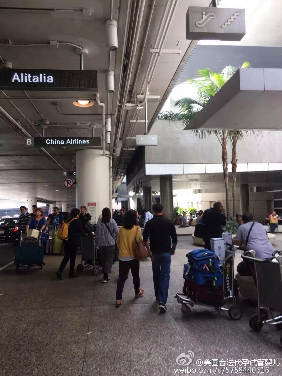 天津4 - 天津熊猫血客人赴美代孕旅程正式开启 顺利入住尔湾别墅