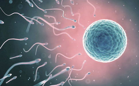 404 162917 1 看图王 - 美国第三代试管婴儿PGS/PGD的深刻解读