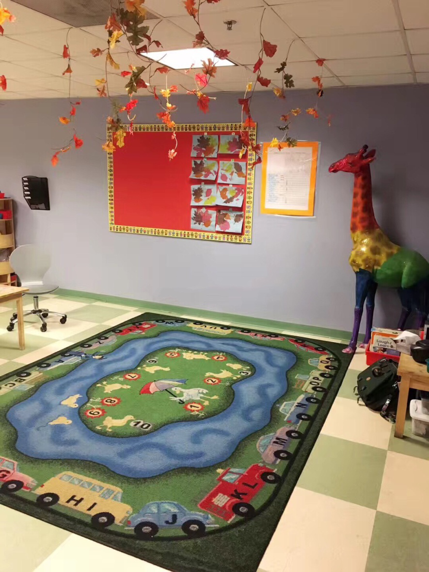 图片111 - 孕妈二胎带大宝赴美生子大宝在美该如何做安排