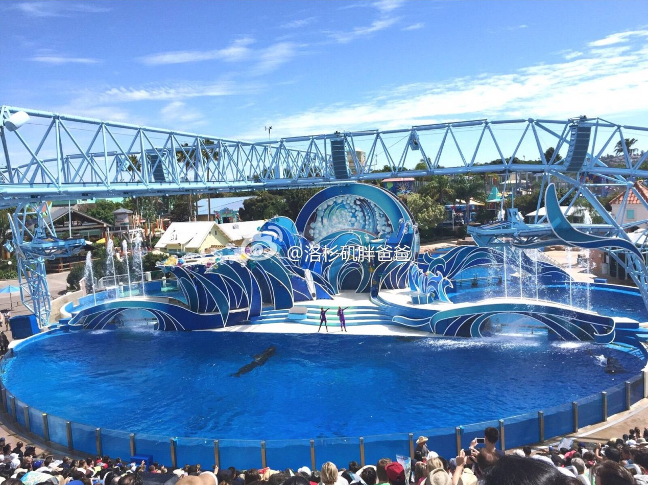 图片120 - 月子中心安排赴美生子客人参观圣地亚哥海洋世界