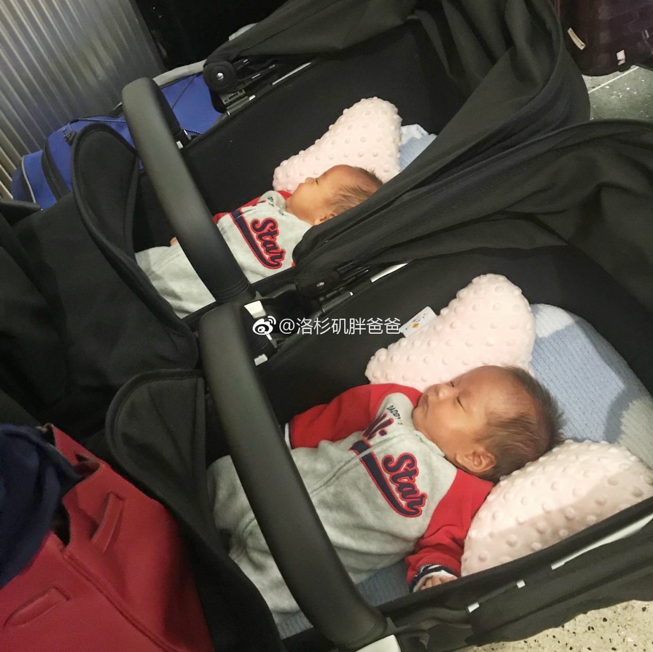 图片17 - 赴美生子拉拉情侣带着试管双胞胎宝宝回国啦