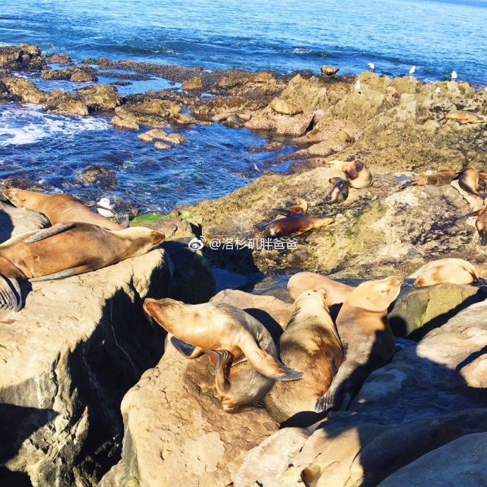 a8a11ba9gy1fmf008vdg4j20qo0qo7h1 - 美国代孕妈妈到月子中心看望代孕宝宝