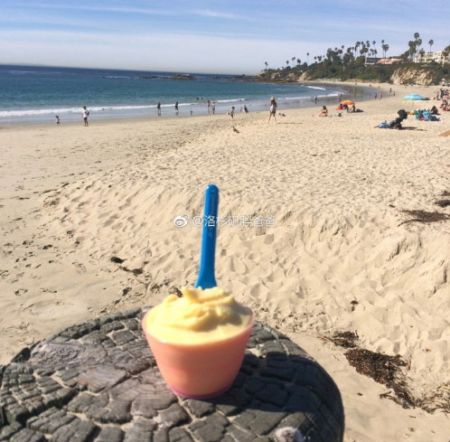 微信截图 20180201182052 - 美国喜多月子中心组织赴美生子孕妈外出游玩