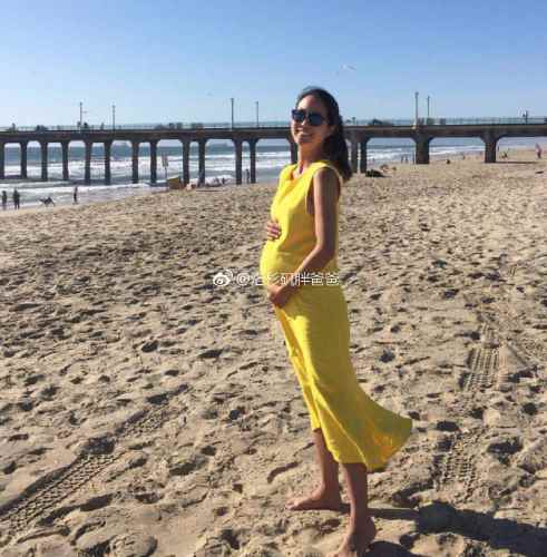 15343009381 副本 - 湖北武汉孕妈赴美生子 分享过海关经历