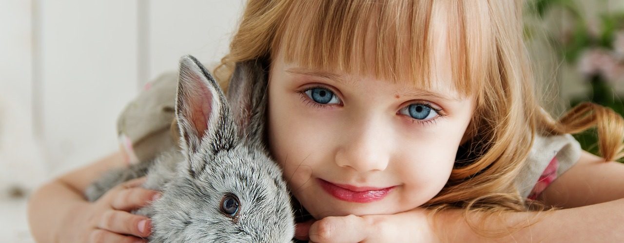 什么影响试管婴儿成功率?胖爸爸美国俄罗斯试管婴儿专家在线解答 rabbit 3660673 1280 1280x500 - 什么影响试管婴儿成功率?胖爸爸美国俄罗斯试管婴儿专家在线解答