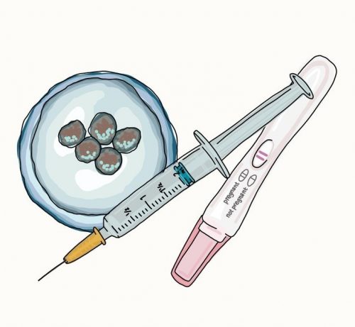 106108027 272614770714121 5737857410137386667 n 500x461 - 冻卵